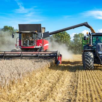 AdobeStock 169208339 AdobeStock 169208339